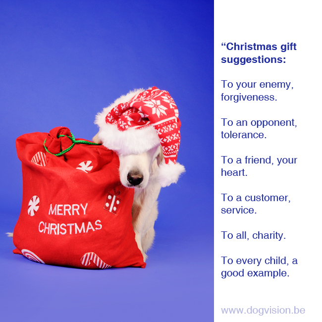Kerstmis kerstfotoshoot inspiratie voor honden, kerstlichtjes, hondenfotografie DOGvision.be