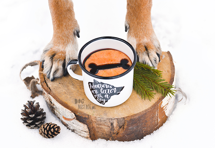 Kerstmis kerstfotoshoot inspiratie voor honden, hondenfotografie DOGvision.be